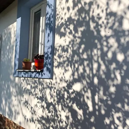 Vojnuv Mestec Dum S Vuni Dreva Zdar Nad Sazavou Exterior photo